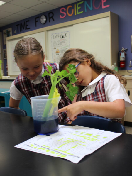 Two young girls in a science classroom looking at a plant at River Oaks Baptist School