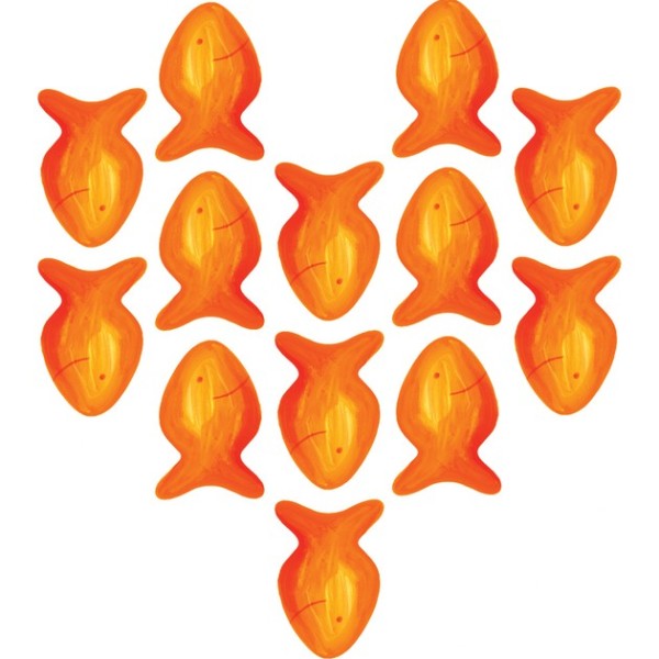 A group of orange fish