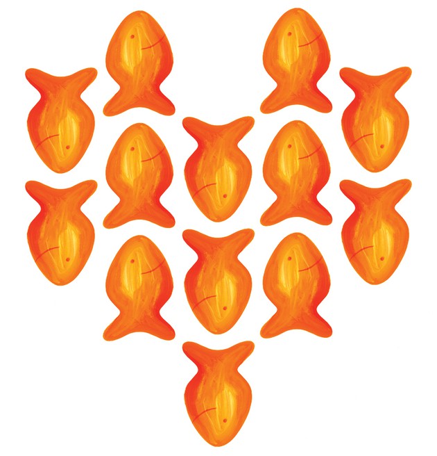 A group of orange fish