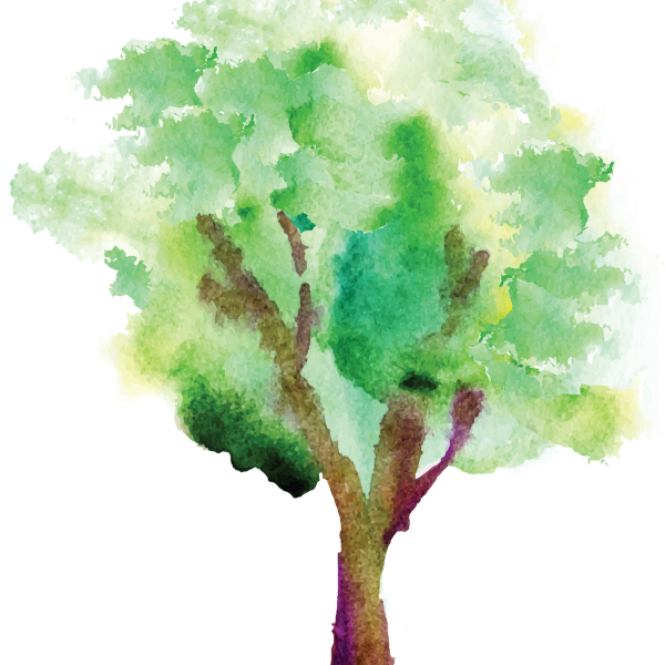 A watercolor painting of a tree