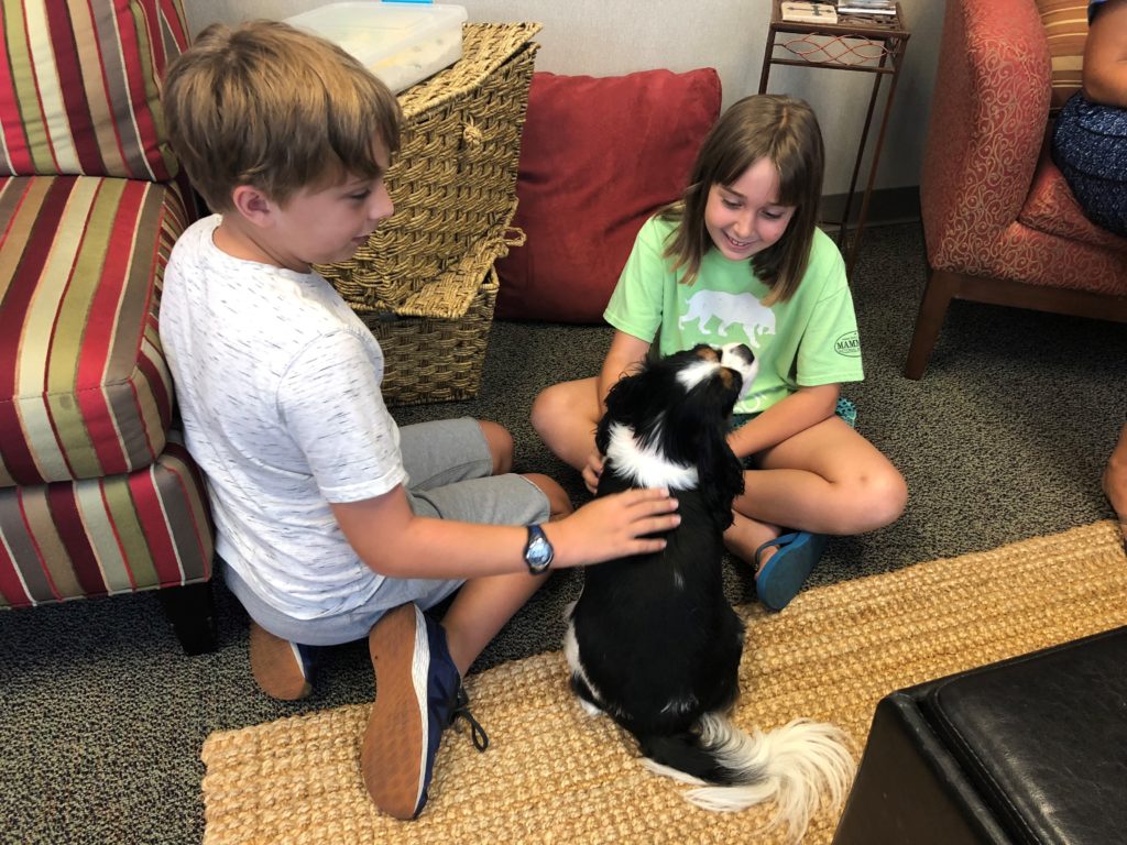 Two young children petting a black and white dog at River Oaks Baptist School